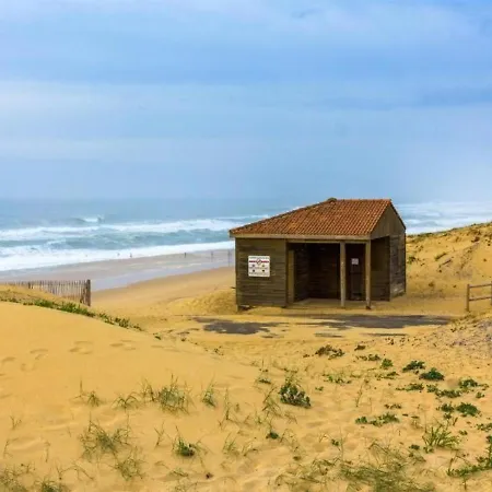 Studio Cosy A Seignosse : A Deux Pas De L'Ocean, Proche Centre, Ideal Vacances A Pied - Fr-1-239-400 Apartment