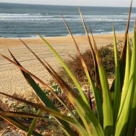 Apartment Studio Cosy A Seignosse : A Deux Pas De L'Ocean, Proche Centre, Ideal Vacances A Pied - Fr-1-239-400 Seignosse
