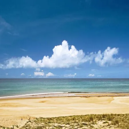 Studio Cosy A Seignosse : A Deux Pas De L'Ocean, Proche Centre, Ideal Vacances A Pied - Fr-1-239-400 Apartment *